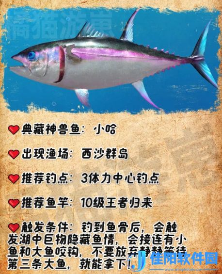 《欢乐钓鱼大师》典藏神兽鱼钓取条件是什么